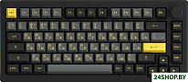 5075B Plus Black & Gold (Akko Cream Yellow V3)