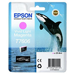 Картинка Картридж EPSON T7606 Vivid magenta light (C13T76064010)