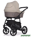 Картинка Универсальная коляска RIKO Bella (2 в 1, 06)