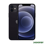 Картинка Смартфон Apple iPhone 12 128GB (черный)