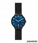 Картинка Наручные часы Skagen SKW6461