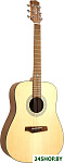RGI-01