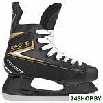 Картинка Коньки хоккейные SUNDAYS Eagle PW-206AJ (р-р 40)