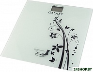 Картинка Весы GALAXY GL 4800