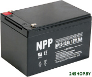 NP 12-12.0 (12В/12.0 А·ч)