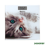 Картинка Напольные весы Blackton Bt BS1012