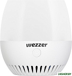 Wezzer Air PRO DM20 81407