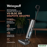 V13 BLDC 200 Graphite AquaPro