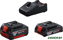 1600A01ZS9 (18В/4 Ah + 18В/2 Ah + 18В)
