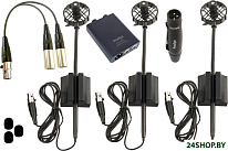 AL21 Romanelli Accordion