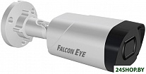 Картинка IP-камера Falcon Eye FE-IPC-BV5-50pa