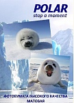 Картинка Фотобумага Polar матовая A4, 190 г/м2, 25 л [A4M887125]