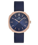 Картинка Наручные часы Daniel Klein DK12654-6