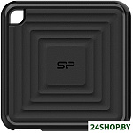 PC60 256GB SP256GBPSDPC60CK