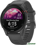 Forerunner 255 46 мм (сланцево-серый/черный)