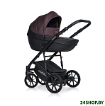 Картинка Детская универсальная коляска RIKO Basic Pacco 2 в 1 (01, сливовый/черный)