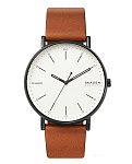 Картинка Наручные часы Skagen SKW6550