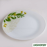 Олива 85-164-26 4840164163 (2 шт)