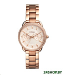 Картинка Наручные часы Fossil Tailor ES4264