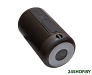 Картинка Беспроводная колонка Ginzzu GM-892B