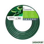 Картинка Cellfast Economic (1