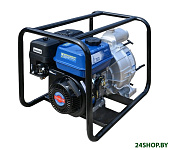 Картинка Мотопомпа ТСС PGT80