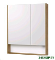 Шкаф с зеркалом для ванной АКВАТОН Сканди 70 1A252202SDZ90