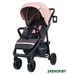 Картинка Коляска прогулочная книга Rant Vega Star Cloud Pink