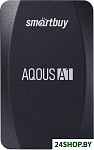 Aqous A1 SB256GB-A1B-U31C 256GB (черный)