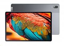 Картинка Планшет Lenovo Tab P11 Pro TB-J706L 128GB LTE ZA7D0074UA (платиновый серый)