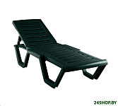 Картинка Шезлонг Элластик-Пласт Атлант 186x63x32 (темно-зеленый)