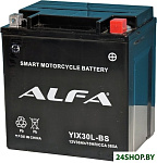 YIX30L-BS (30 А·ч)