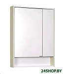 Картинка Шкаф с зеркалом для ванной АКВАТОН Рико 65 1A215202RIB90