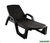 Картинка Шезлонг Ellastik Plast Прованс 190x70x32 (шоколадный)