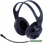 Картинка Наушники Blast BAH-470