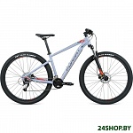 Картинка Велосипед Format 1413 29 (M, серый матовый)