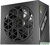 NGDP Gold 1000W HA-1000BA4