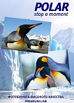 Картинка Фотобумага Polar суперглянцевая 10x15, 260 г/м2, 25 л [A6P8090]