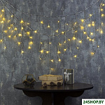 80 LED 3х0.5м (теплый белый) 3556846