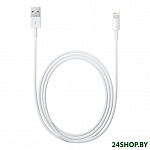 Картинка Кабель Apple Lightning to USB 1 м White (MD818ZM/A)