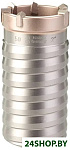 SDS-Max TCT2 50x100 4932430732