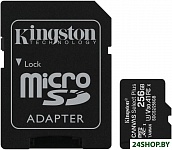 Картинка Карта памяти Kingston Canvas Select Plus microSDXC 256GB (с адаптером)