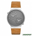 Картинка Наручные часы Skagen SKW6190