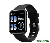 Картинка Смарт-часы SunWind SW25 (черный)