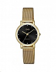 Картинка Наручные часы Q&Q QA21J002