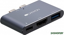 Картинка USB-хаб Canyon CNS-TDS01DG