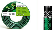shlang_economic_e