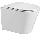 Картинка Унитаз WeltWasser Salzbach 004 GL-WT (белый глянец)