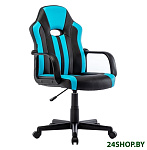 Картинка Кресло Brabix GM-202 (черный/голубой)