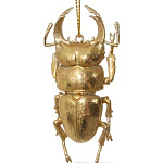 Картинка Игрушка Shishi Золотой жук 50669